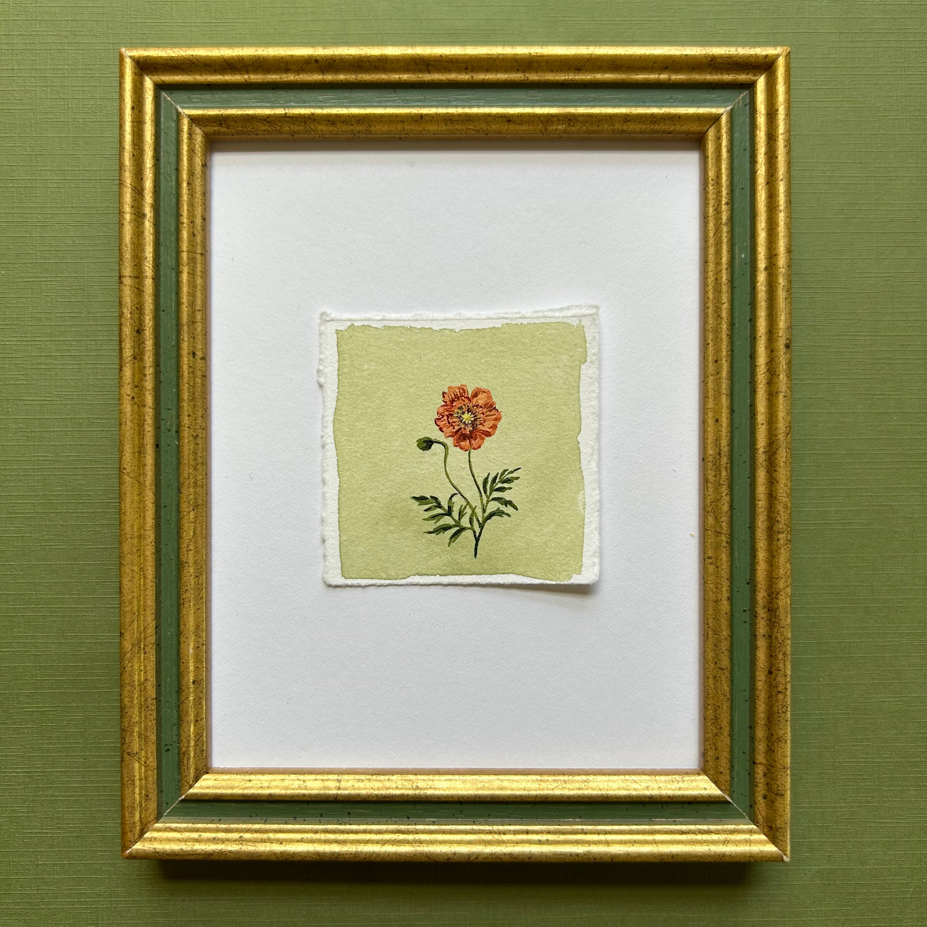 August: Birth Month Flower Series