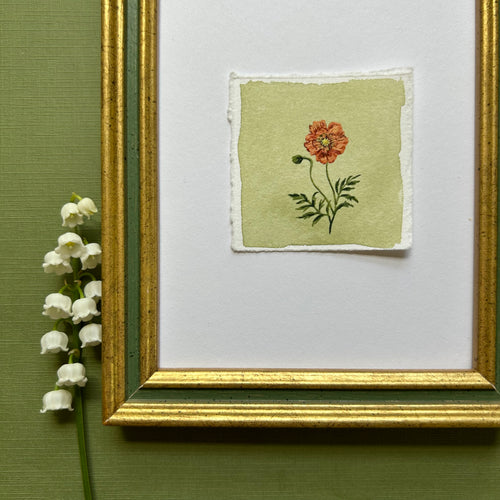 August: Birth Month Flower Series