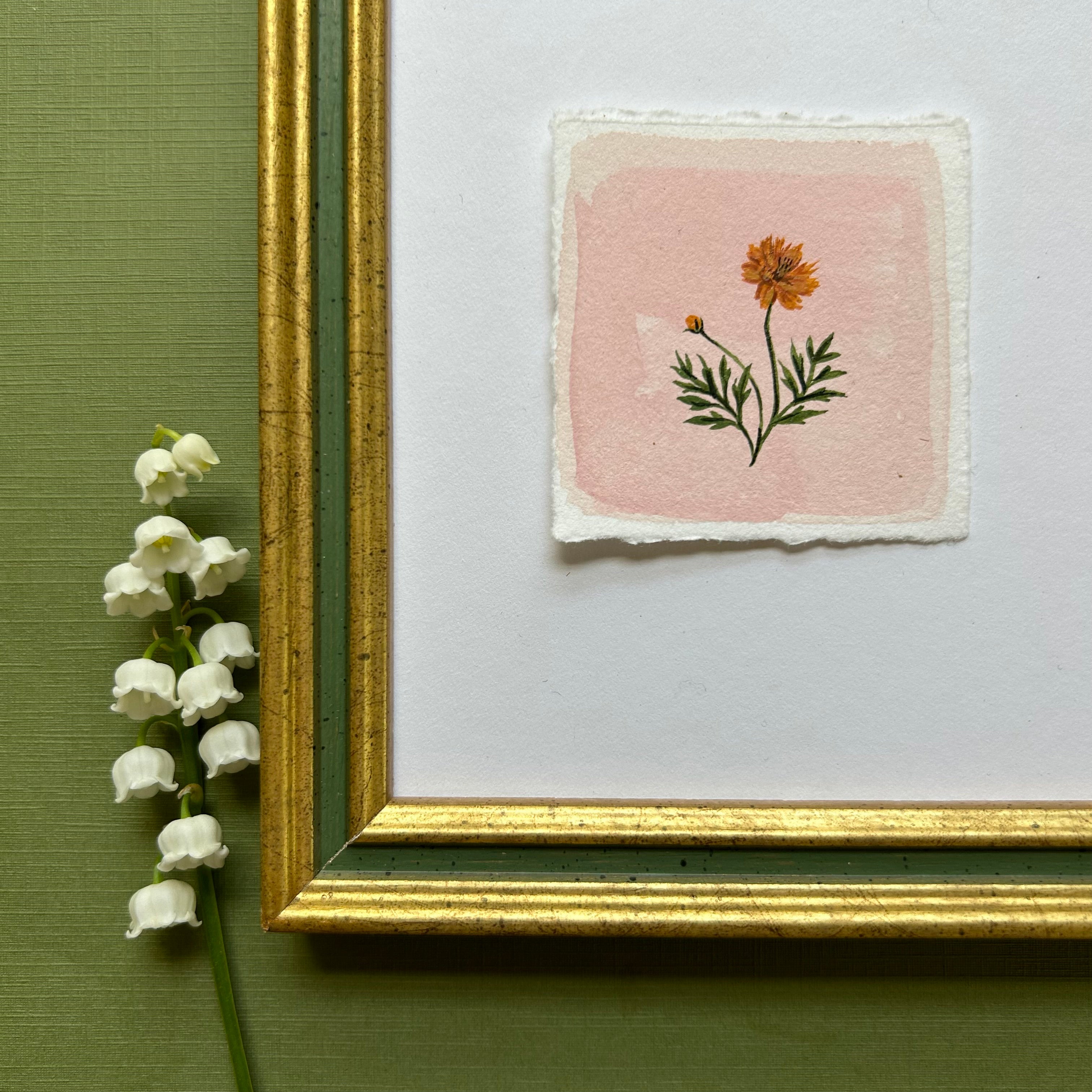 October: Birth Month Flower Series