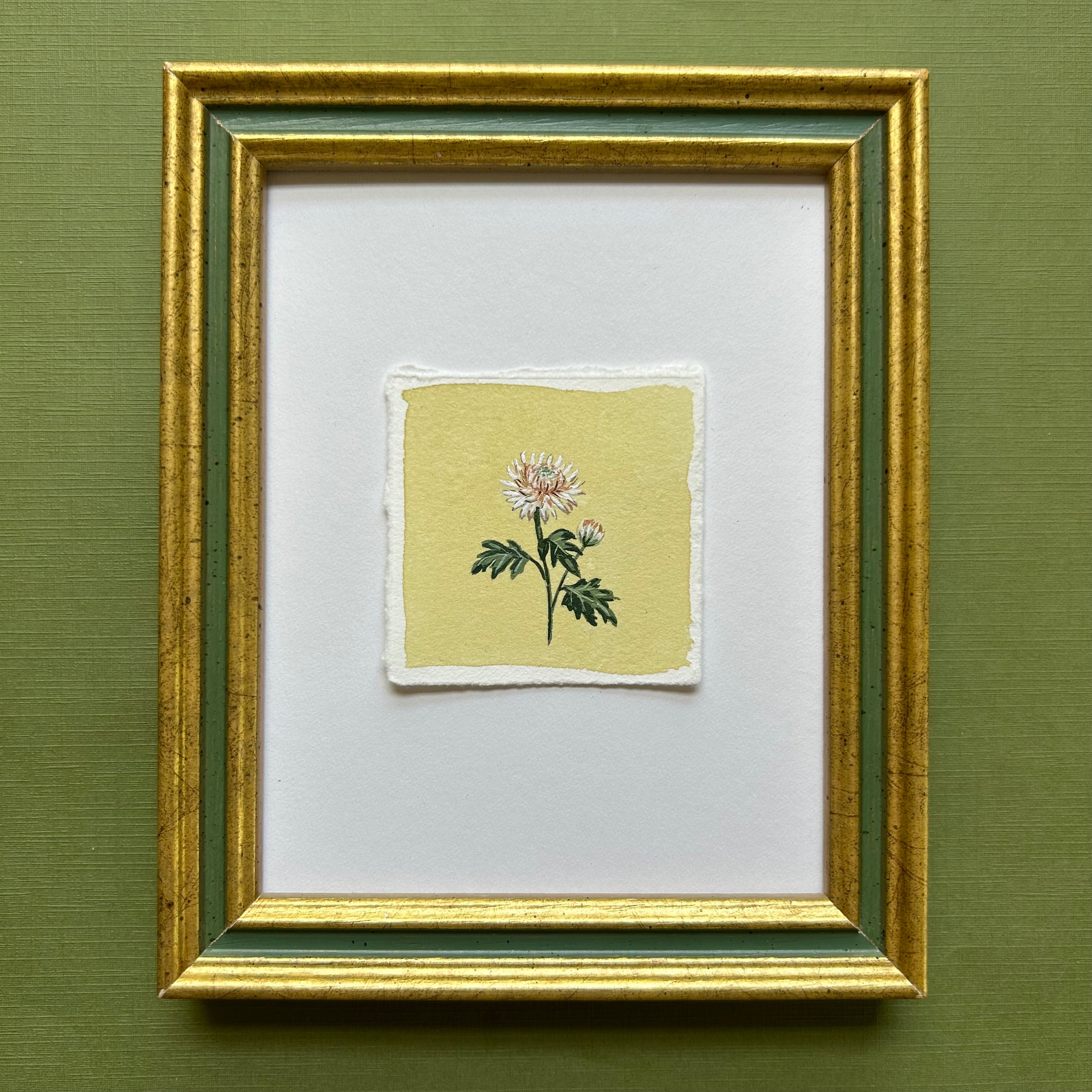 November: Birth Month Flower Series