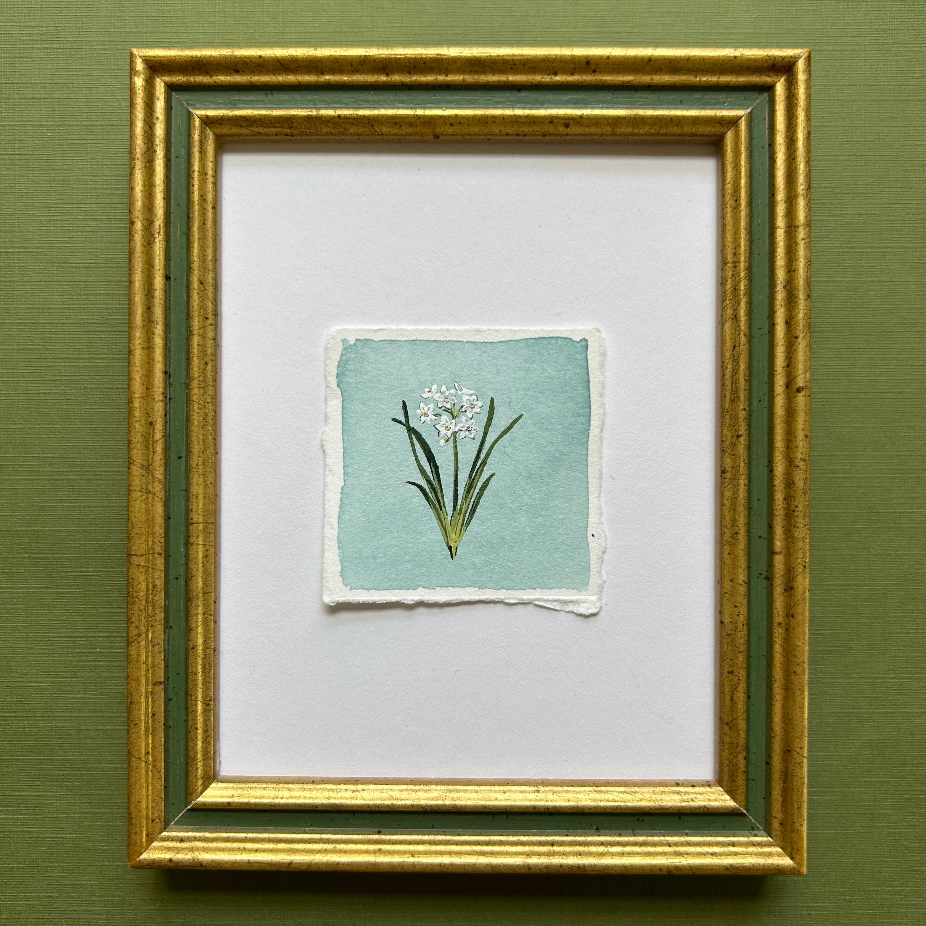 December: Birth Month Flower Series