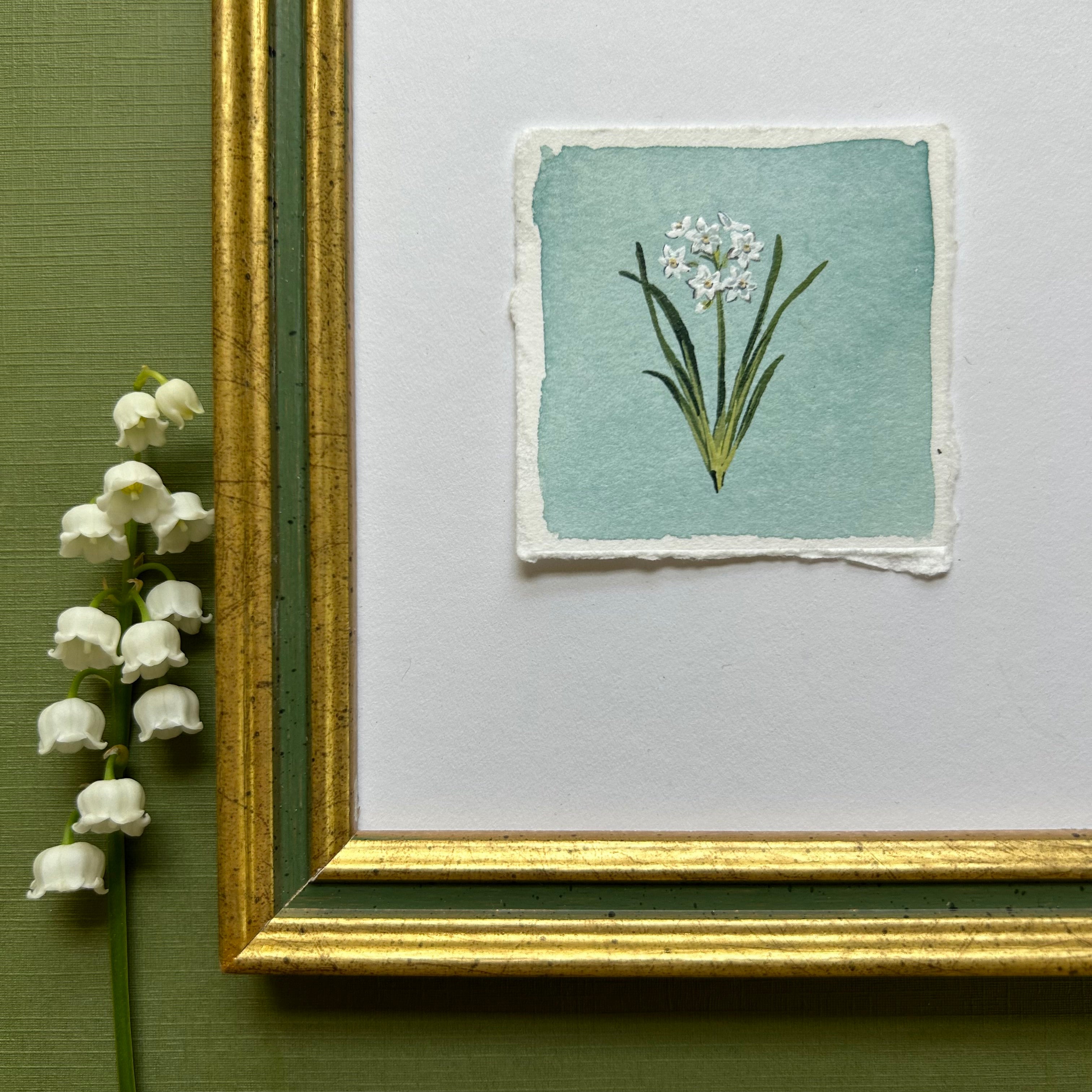 December: Birth Month Flower Series