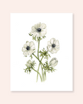 Anemone Print
