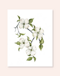 Dogwood Print