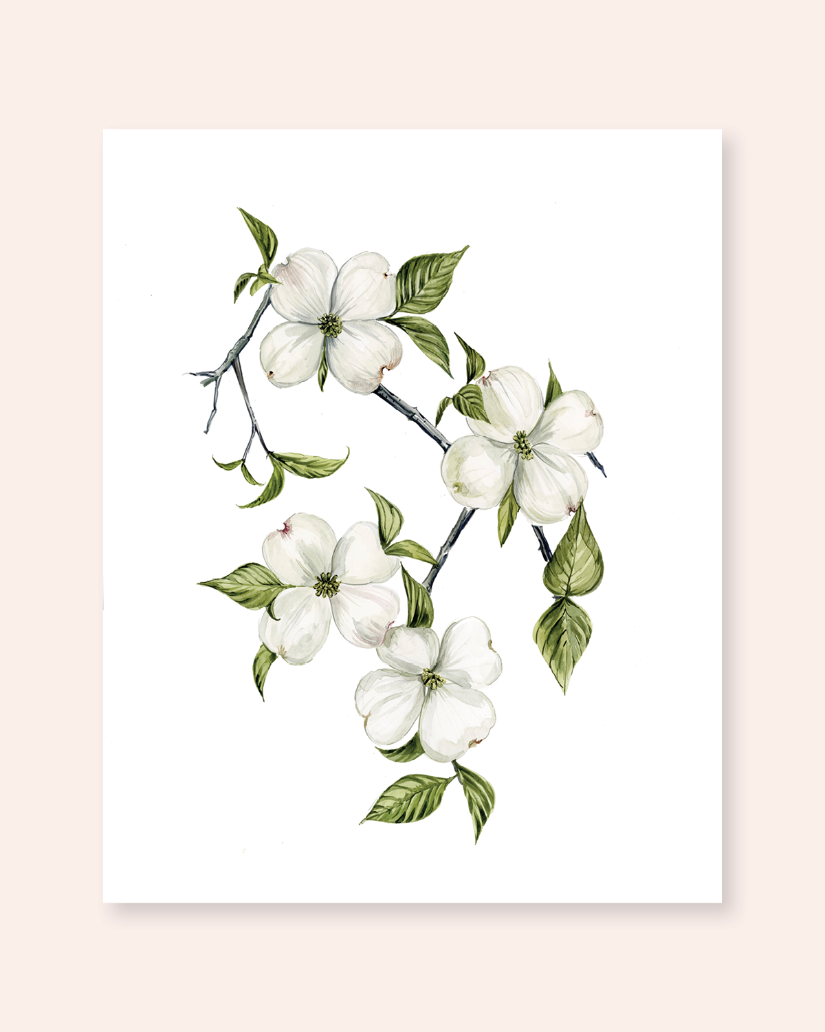 Dogwood Print