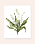 Lily of the Valley Print