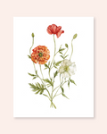Poppy Print