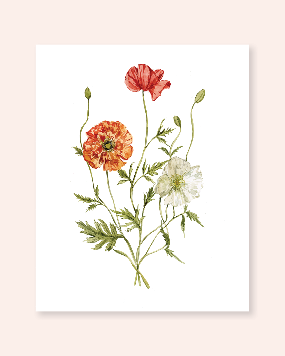 Poppy Print