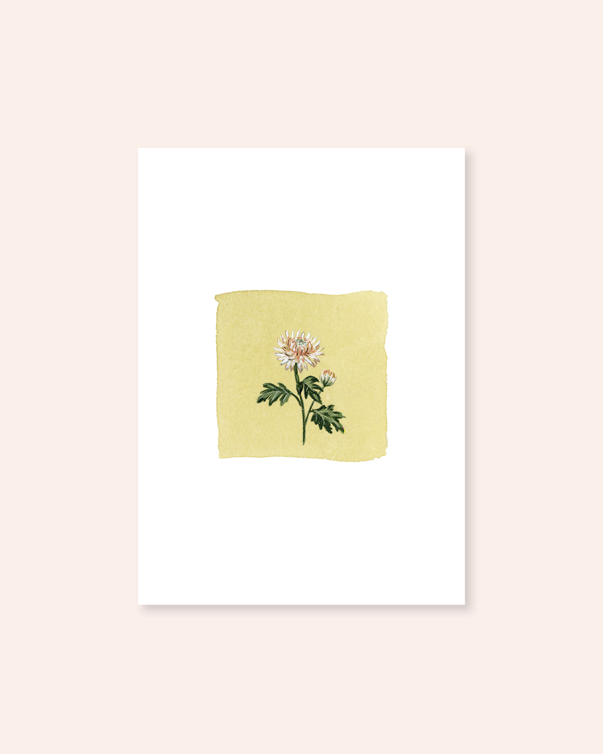 November Birth Month Floral Print