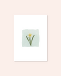 March Birth Month Floral Print