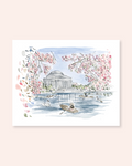 Tidal Basin Blossoms Print