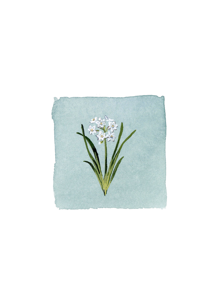 PREORDER: December Birth Month Floral Print