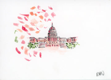 Pink Capitol Building