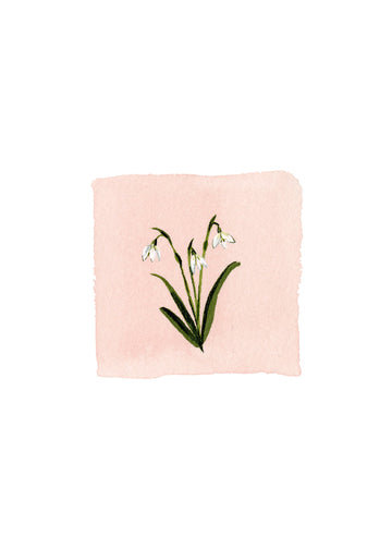 PREORDER: January Birth Month Floral Print