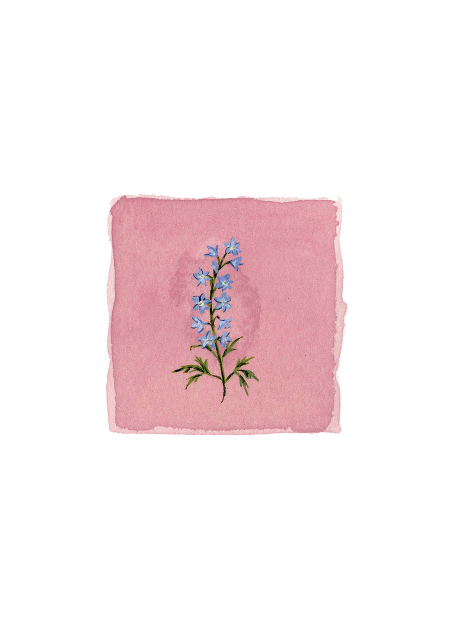 PREORDER: July Birth Month Floral Print