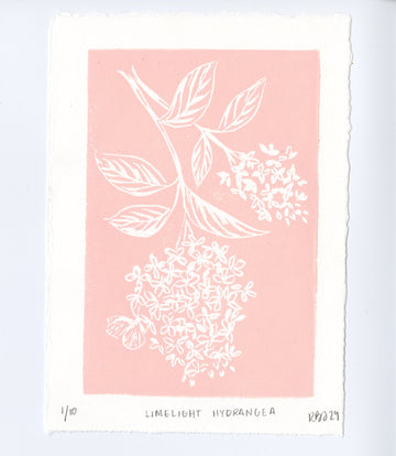 Limelight Hydrangea Blockprint