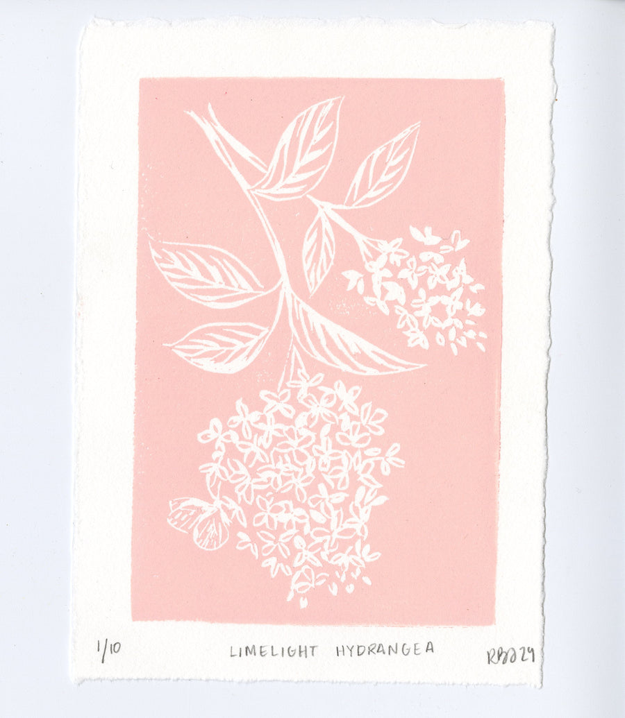 Limelight Hydrangea Blockprint