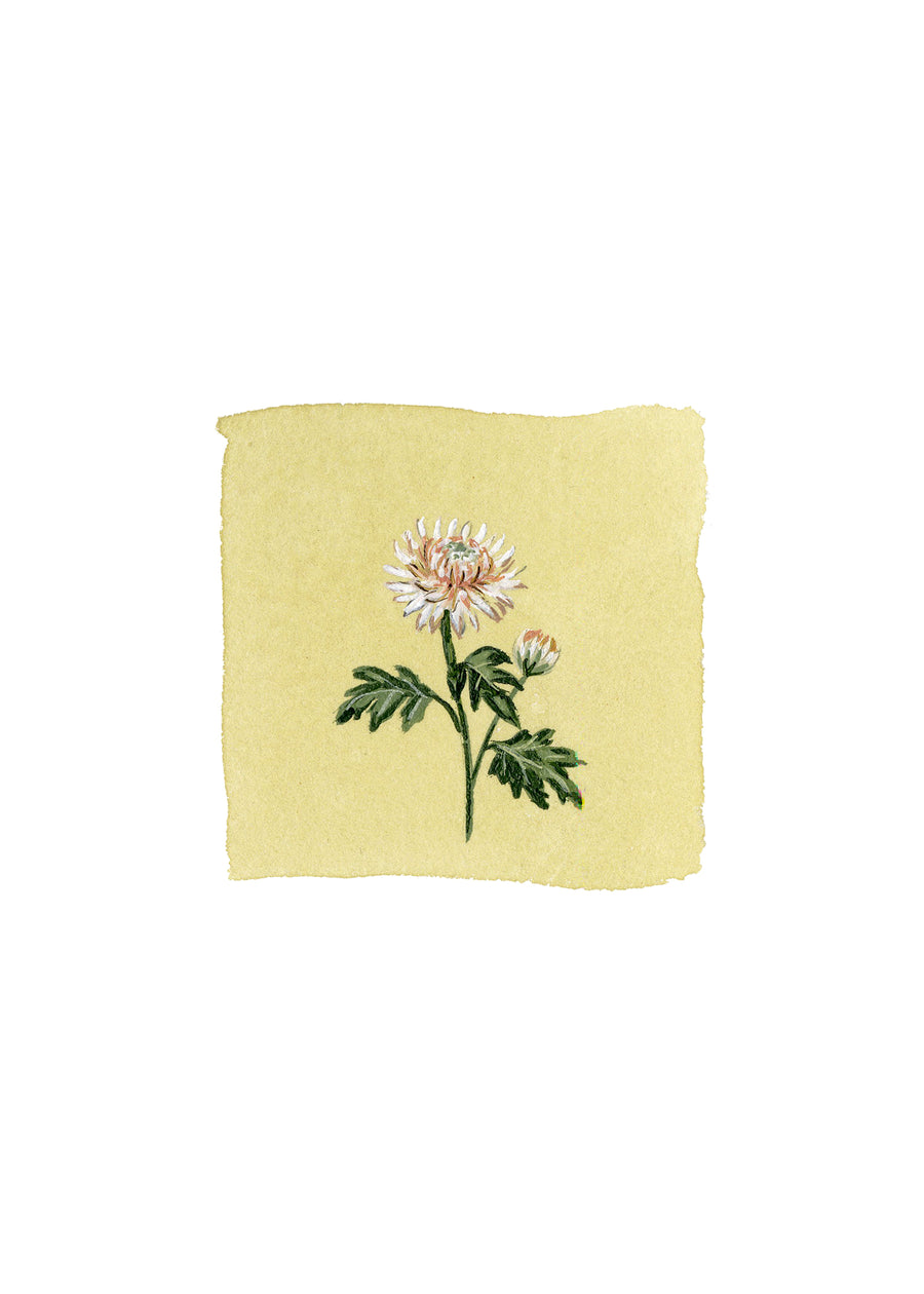 PREORDER: November Birth Month Floral Print