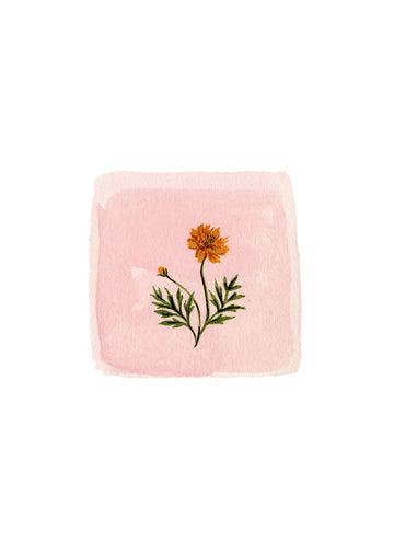 PREORDER: October Birth Month Floral Print