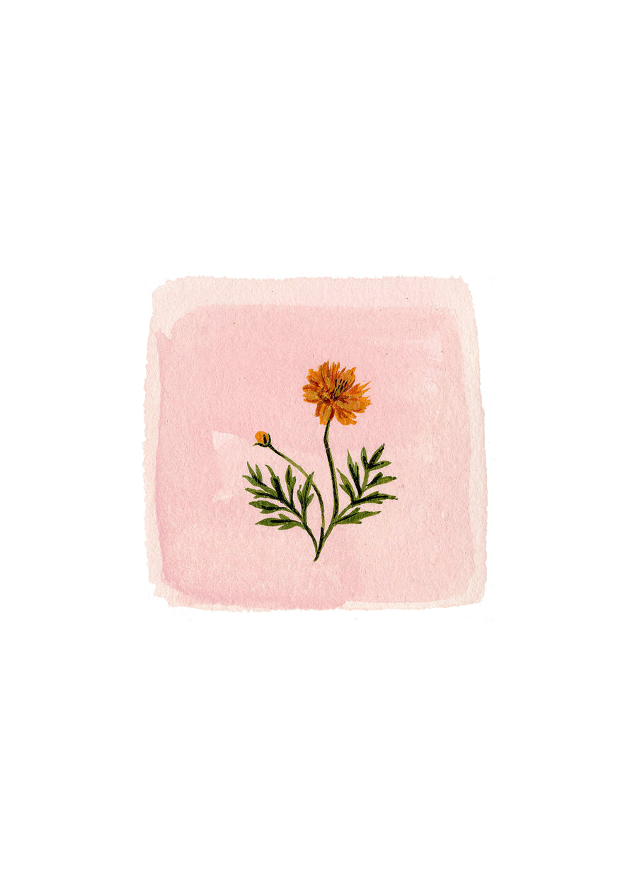 PREORDER: October Birth Month Floral Print