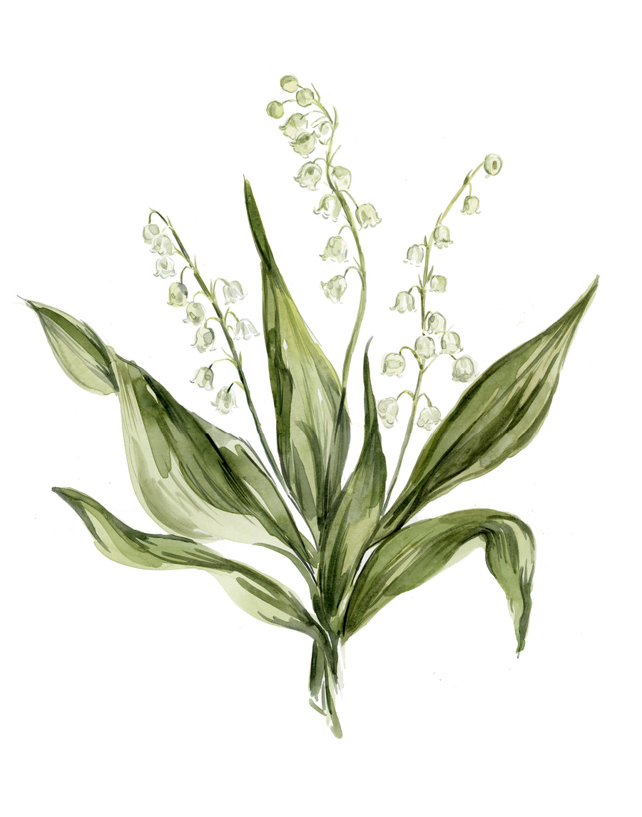 Lily of the Valley Print