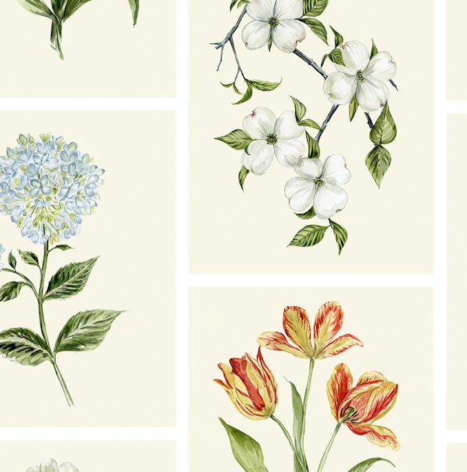 Botanical Cream Wallpaper