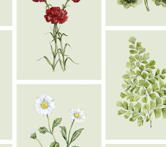 Botanical Green Wallpaper