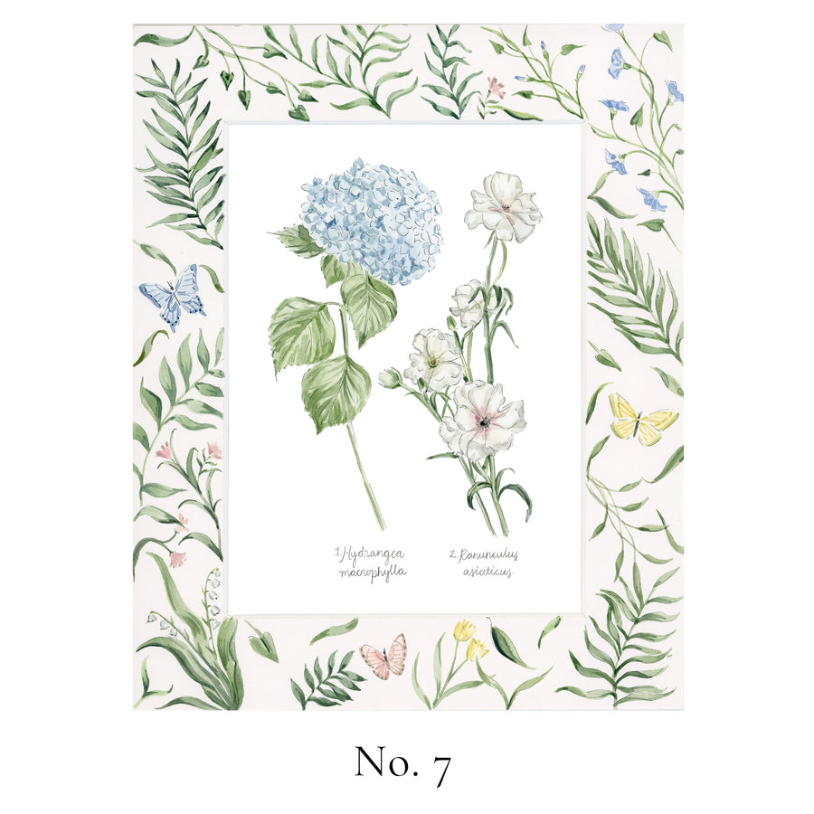 No. 7 Hydrangea macrophylla and Ranunculus asiaticus (Hydrangea and Ranunculus)