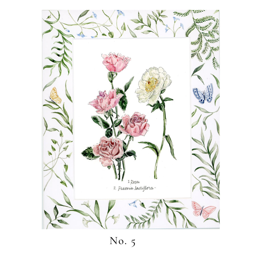 No. 5 Rosa and Paeonia lactiflora (Rose and Peony)