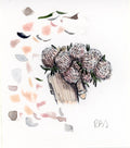 Peony Bundle