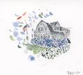 Cape Hydrangeas