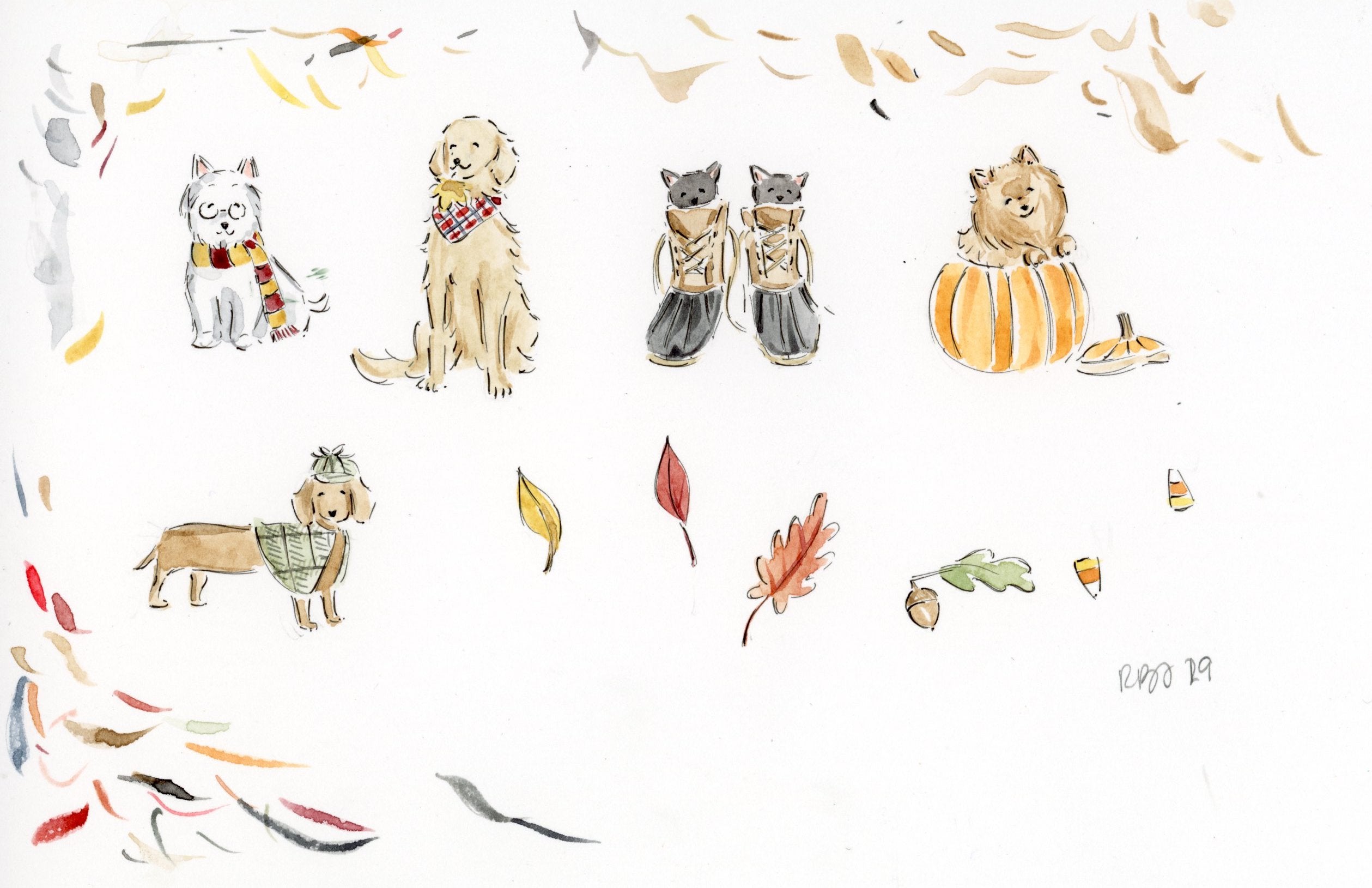 Fall Pups – Riley Sheehey